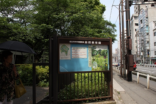 e0121110_2392075.jpg