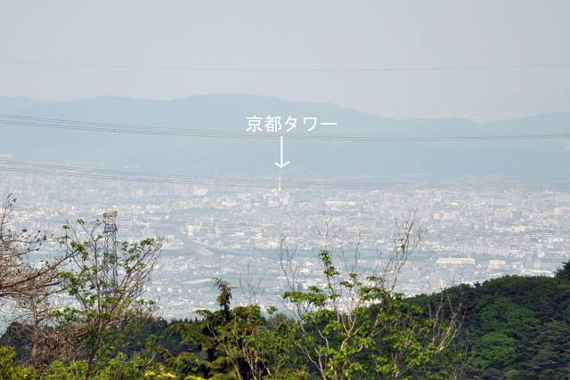 f0167310_753735.jpg