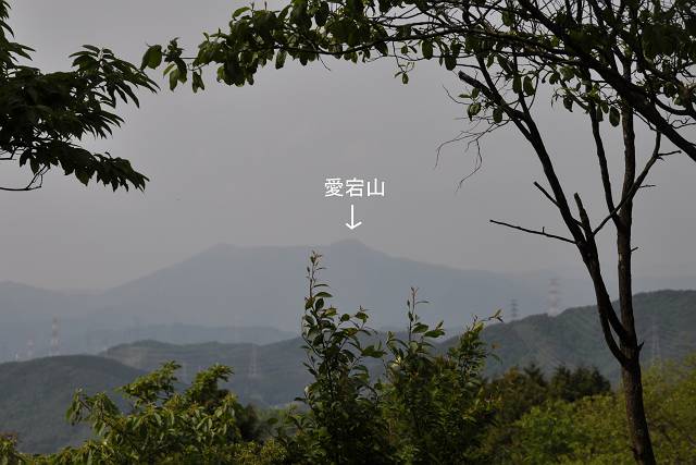 f0167310_7564975.jpg