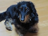 b0184211_10204456.jpg