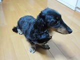 b0184211_1024087.jpg