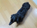 b0184211_10273622.jpg