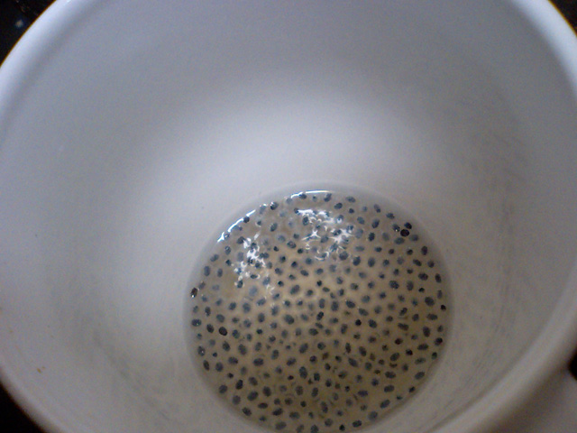 a0101715_0453477.jpg