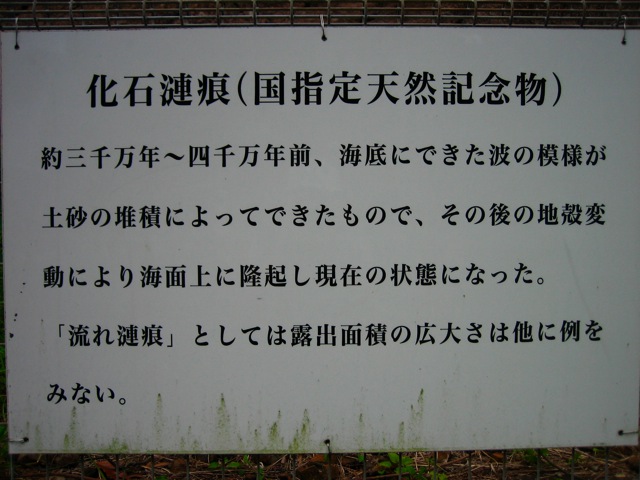 c0182221_21143942.jpg