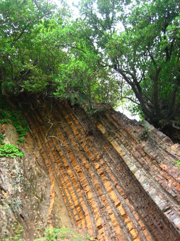 c0182221_21191353.jpg