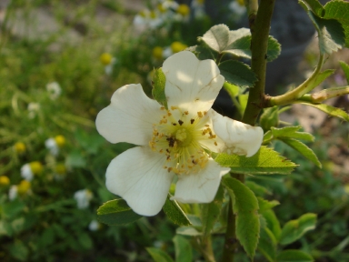f0054421_825569.jpg