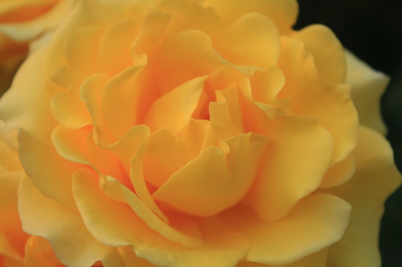 e0123322_21131738.jpg