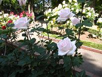 c0193425_2340180.jpg