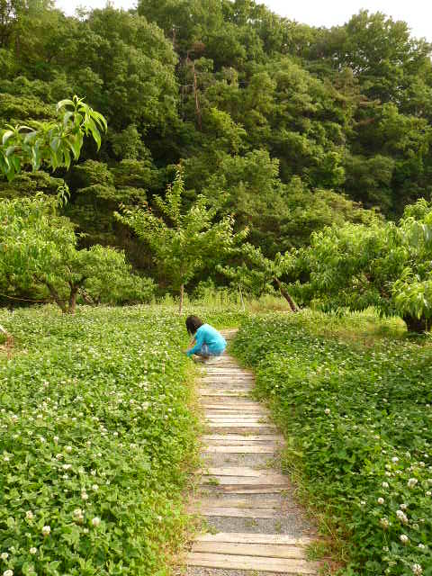c0100534_1052060.jpg