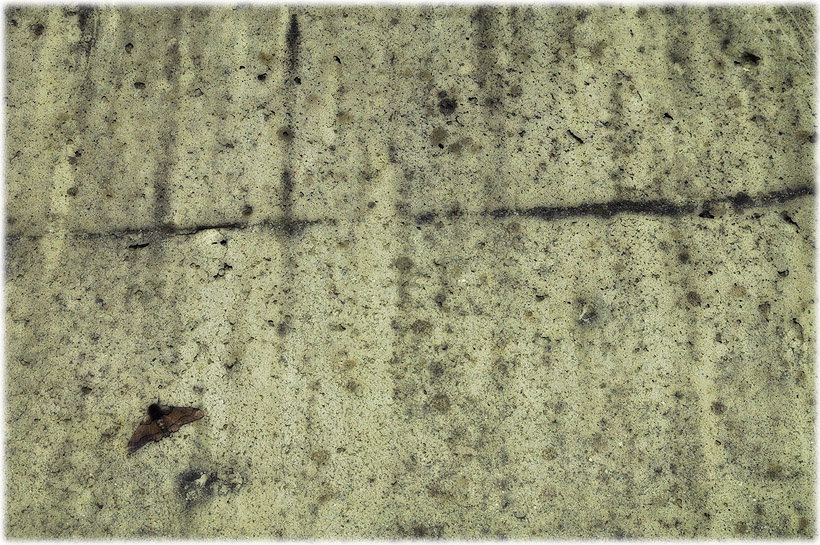 e0065734_137092.jpg