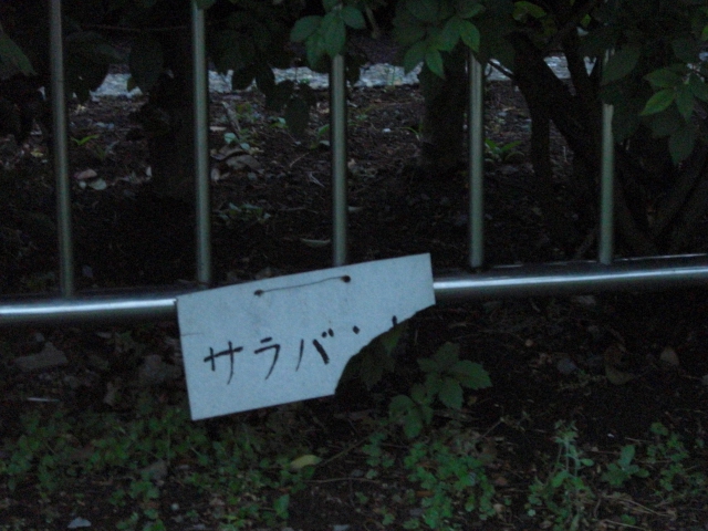 e0081334_19355615.jpg