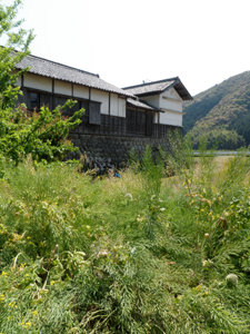 b0110545_1015583.jpg