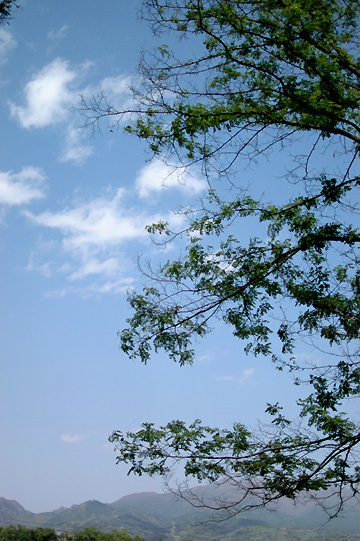 d0008146_23134869.jpg
