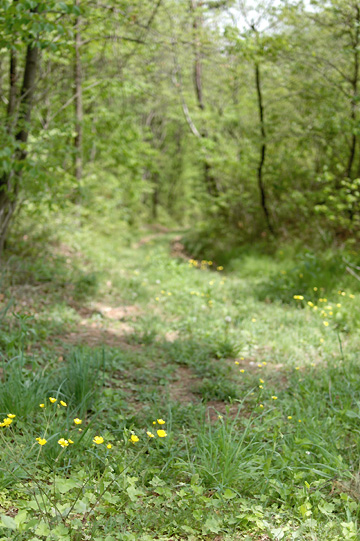 d0008146_2313955.jpg