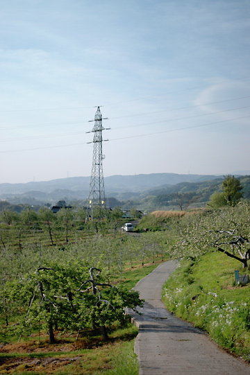d0008146_23141169.jpg