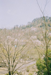 b0178548_14472153.jpg