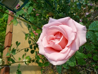 a0008549_21505781.jpg
