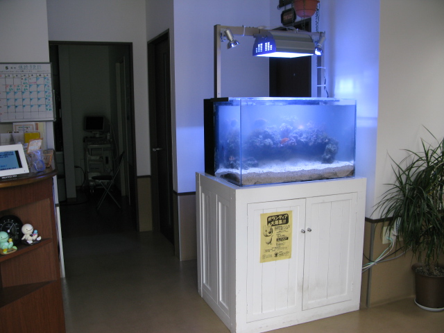 f0198950_20284044.jpg