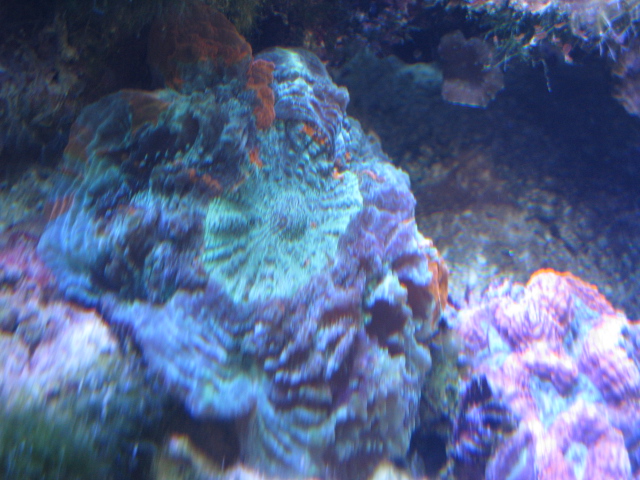 f0198950_20324194.jpg