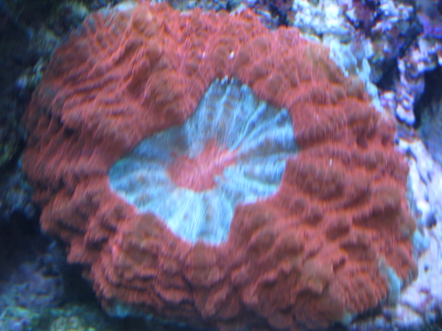 f0198950_20325784.jpg
