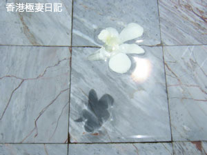 f0190653_10325585.jpg