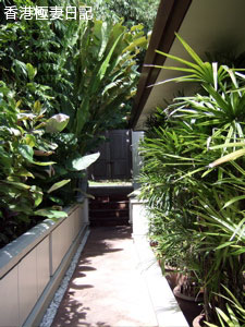 f0190653_10331983.jpg
