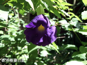 f0190653_1034417.jpg