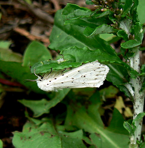 d0091754_23474449.jpg