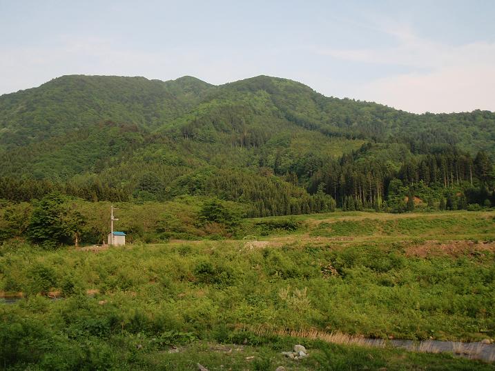 b0177355_234285.jpg