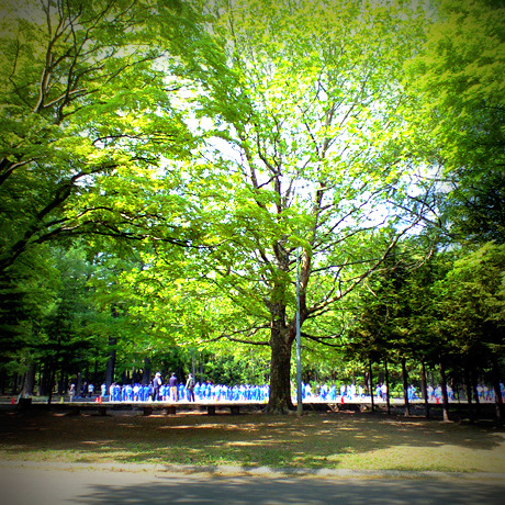 f0167757_116168.jpg
