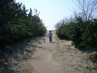 e0129958_20354781.jpg