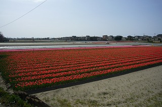 e0129958_2044166.jpg