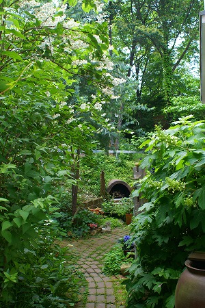 d0083761_1922391.jpg