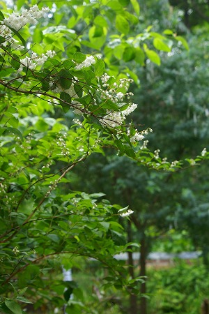 d0083761_19243710.jpg