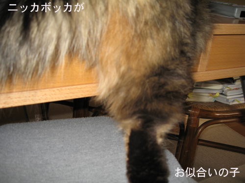 e0057361_14254324.jpg