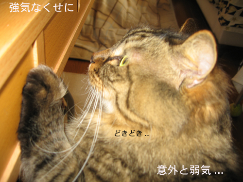 e0057361_14565757.jpg