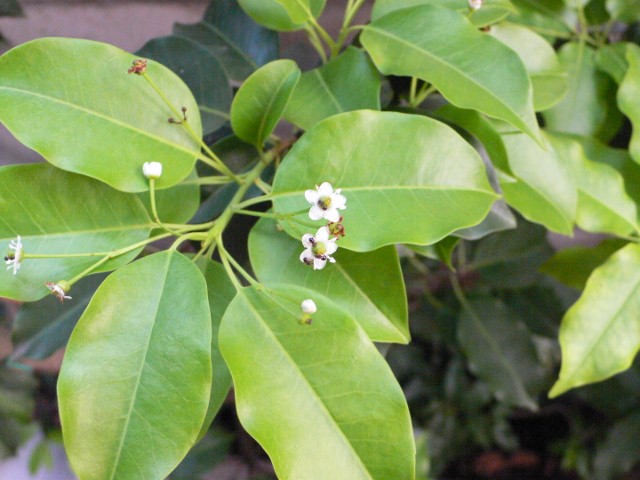 b0074862_1342751.jpg