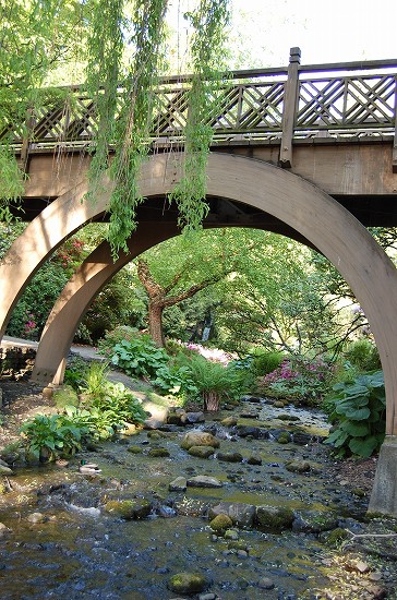 e0128367_2512670.jpg