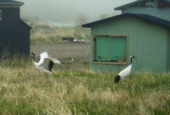 a0074469_21591191.jpg