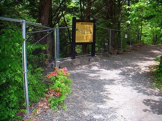 f0182173_2317968.jpg