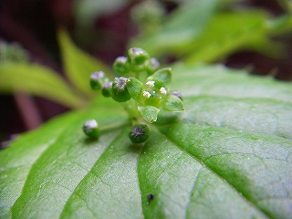 f0182173_23185174.jpg