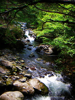 f0182173_2319412.jpg