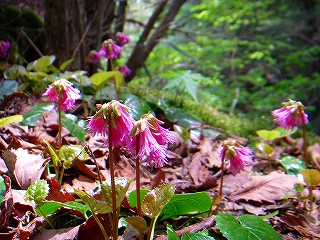 f0182173_2320390.jpg
