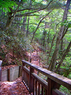 f0182173_23205888.jpg