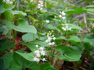 f0182173_23212349.jpg