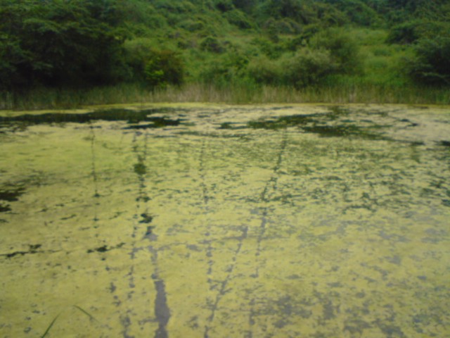 a0040876_21422589.jpg