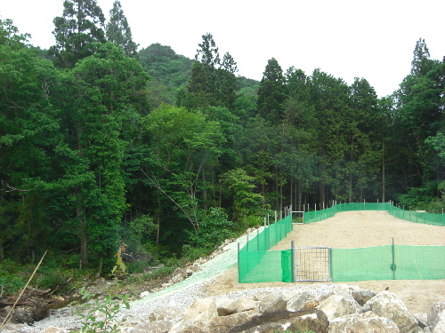d0116578_2235377.jpg