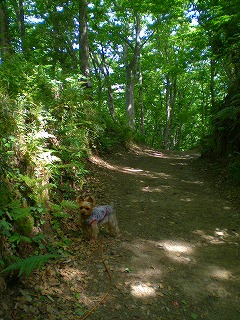 e0123587_10364431.jpg