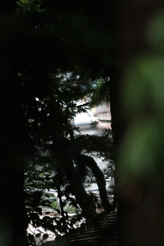 d0133693_2143257.jpg