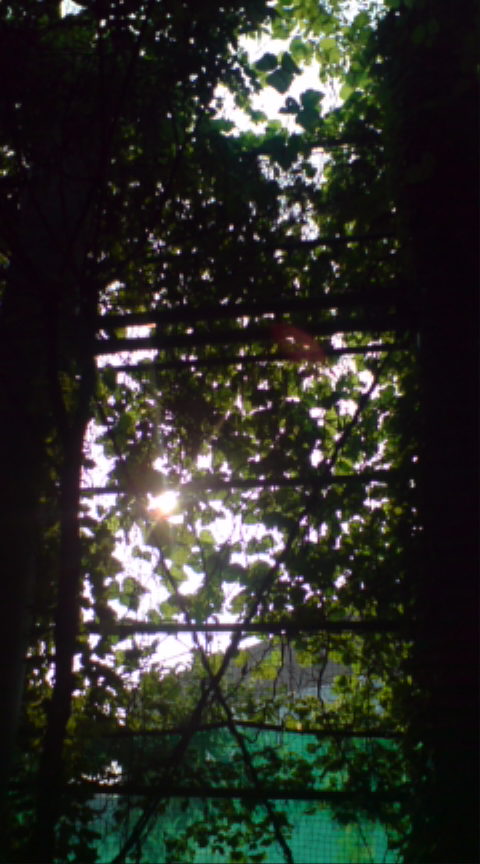 a0071595_21254986.jpg